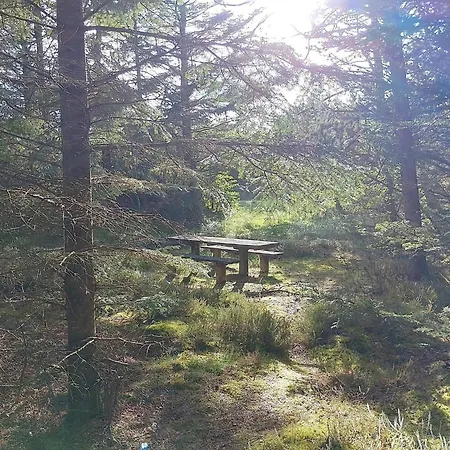 5 Star In Hébergement de vacances